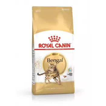 Comida seca para gatos Royal Canin Bengal Adult 10 kg – pollo, 40% proteína, 18% grasa