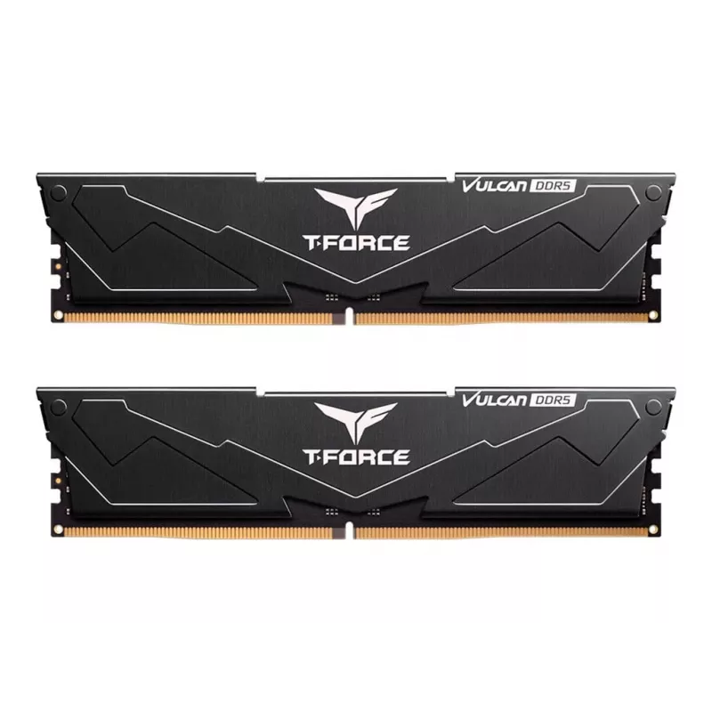 DIMM 32 GB DDR5-6000 (2x 16 GB) Dual-Kit, memoria RAM negra, FLBD532G6000HC38ADC01, Vulcan, AMD EXPO