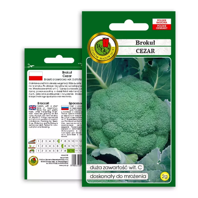 PNOS brócoli Caesar semillas de hortalizas, 2 g