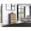 Topeshop M5 ANTRACYT/ARTISAN cómoda, antracita/Artisan