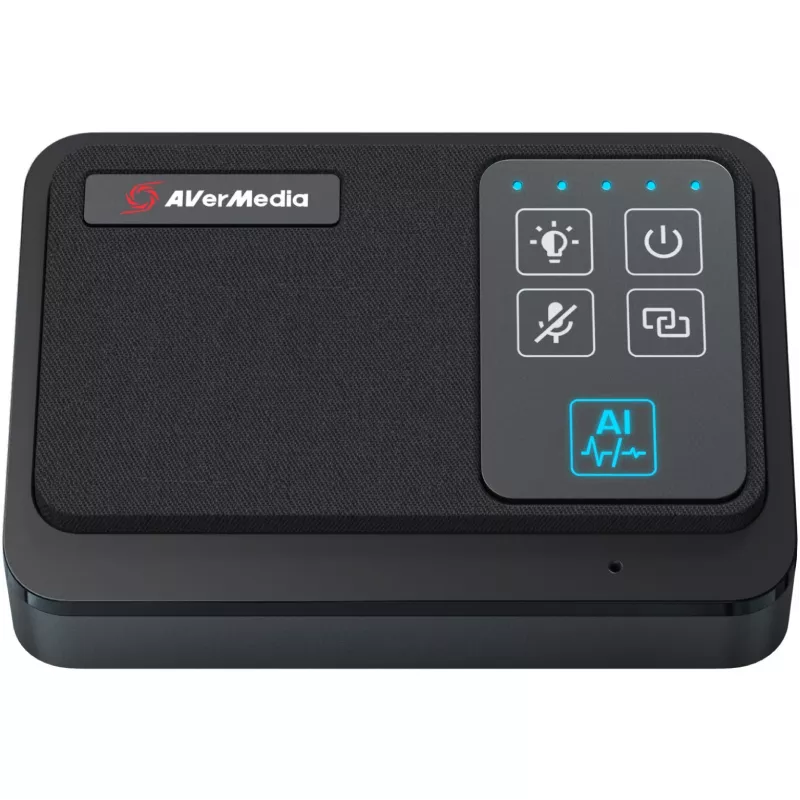 AVer Set de micrófonos inalámbricos para PA511D AW111 (61AW111000AB)