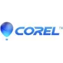 Corel PaintShop Pro 2023 - caja - 1 usuario (mini caja) - Win - multilingüe - Europa