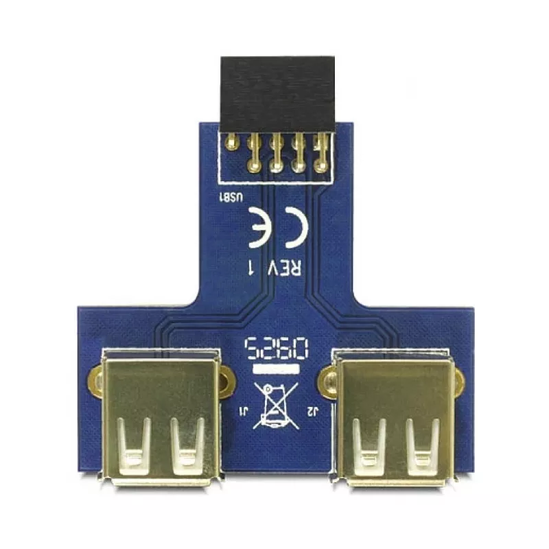 DeLOCK 9 pines 2,54 mm 2 x USB 2.0 1 x 9 pines 2,54 mm negro azul plateado