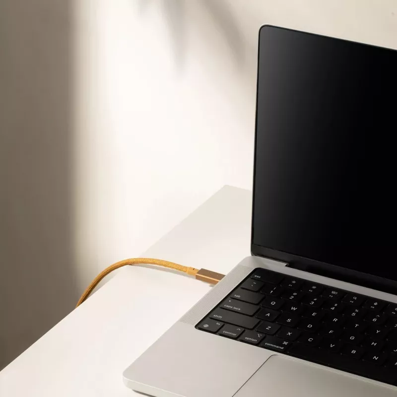 Cable USB-C a USB-C Native Union Belt Cable Pro 240W, 2,4 m, USB 2.0, 0,48 Gbit/s, verde