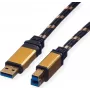 ROLINE Gold - Cable USB - USB Type-B (M) a USB Type-A (M)