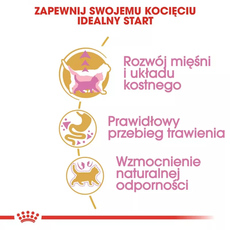 Pienso para gatos Royal Canin British Shorthair Kitten 2 kg — Pollo, 38 % proteínas, 20 % grasas, fórmula de crecimiento