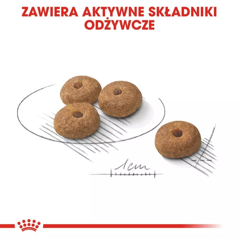 Pienso seco para perros Royal Canin MINI Sterilised — perros adultos de razas pequenas 8 kg, pollo, cuidado dental, control de peso