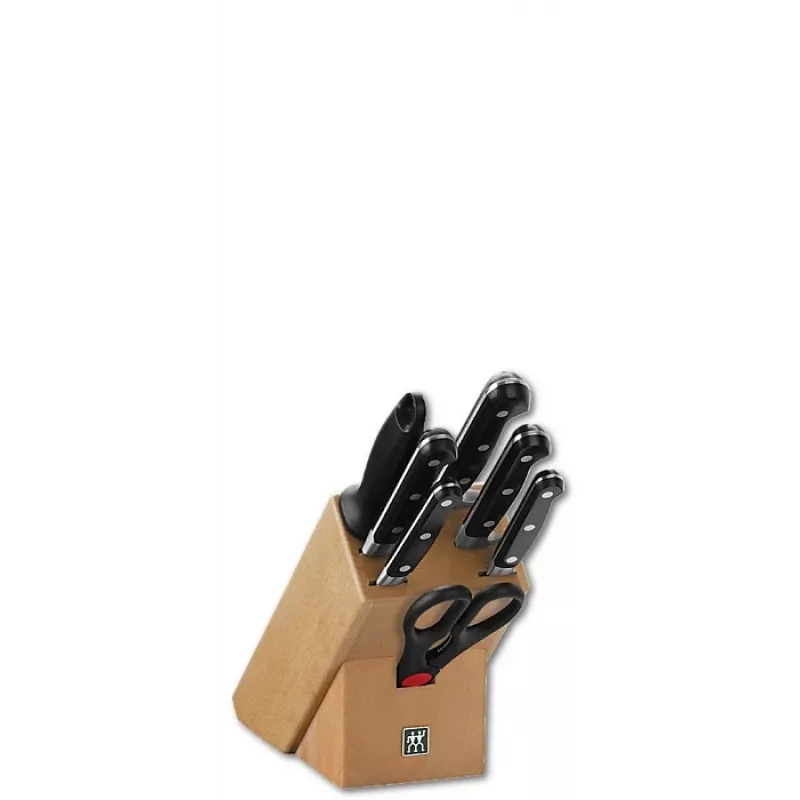 Juego de cuchillos con bloque Zwilling Professional S
