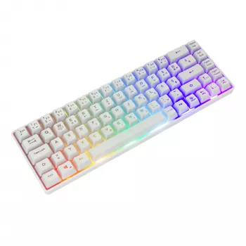 Teclado White Shark RONIN blanco USB QWERTY 68 teclas LED