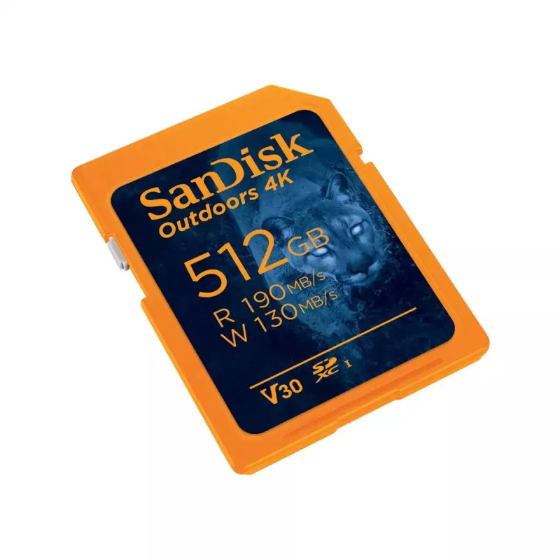 Memoria flash SanDisk 32 GB SDHC Class 10 SDSDXW2-064G-GNCIN