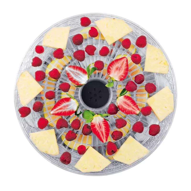 Deshidratador de alimentos Concept Solution SO2020, 500 W, pantalla LED, plata, 220–240 V, 3,3 cm de diámetro de rejilla