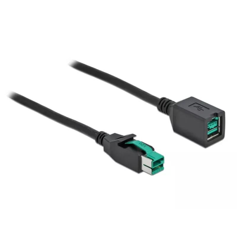 Cable de extensión USB con alimentación DeLOCK 85980 12 V 1 m
