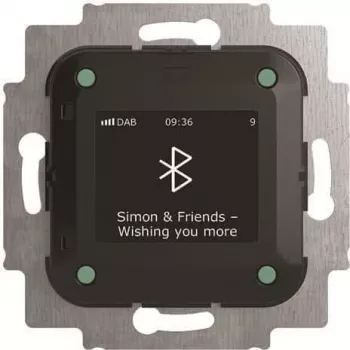 Busch-Jaeger Busch-Radio BTconnect DAB+ con interfaz Bluetooth 8217 U-101 (2CKA008200A0278)