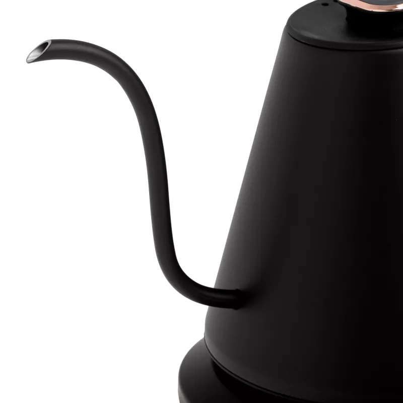 Adler AD 1349 hervidor de agua con pico largo 1,0 L negro
