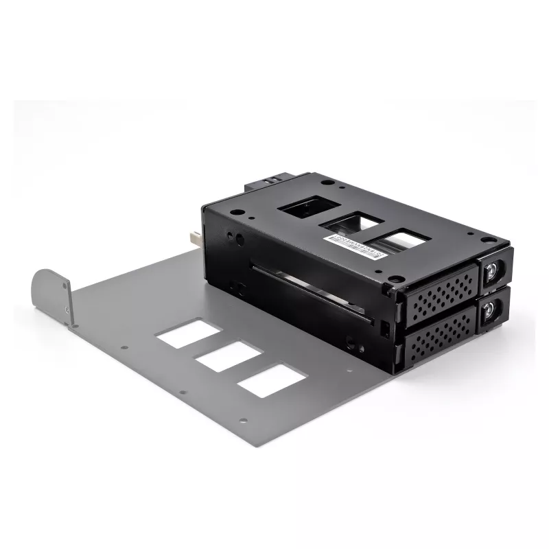 Delock - Rack de almacenamiento móvil - bahía estrecha - 5,25 a 2 x 2,5 (13,3 cm a 2 x 6,4 cm) - negro (47019)