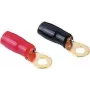 Hama 25 mm², M8, 2 uds., anillo, M8, 2 uds.