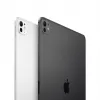 Apple iPad 11