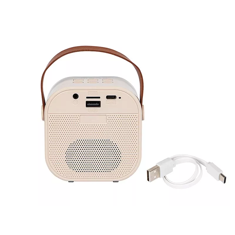 Altavoz de karaoke, Altavoz Bluetooth KARAOKE RGB, 30W