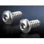 Rittal 2486600 tornillos para chapa con hexalobular interior, tipo 5,5, 13 mm, 300 uds.