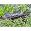 Boquilla de pulverización Gardena 13321-20 para sistema de riego por goteo
