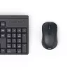 Conjunto de teclado y ratón WKM-200 negro