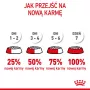 Pienso seco para perros Royal Canin Starter Madre & Cachorro 1 kg — pollo, 30% proteina, 22% grasa