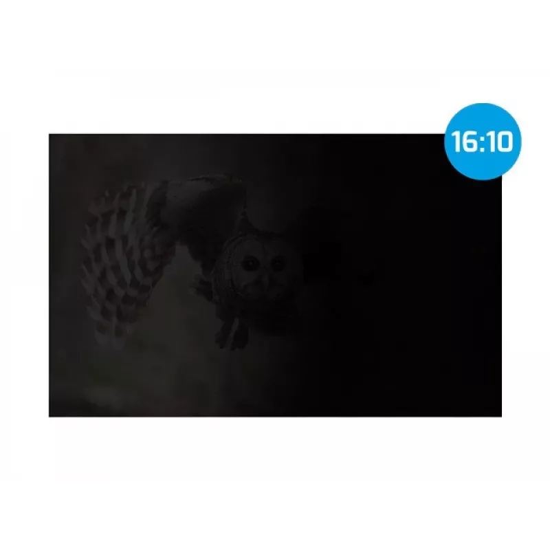 NATEC NFP-2287 Filtro de privacidad para pantalla 40,6 cm (16 inch) monitor/portátil, filtro de privacidad sin marco 2H