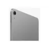 Apple iPad 11