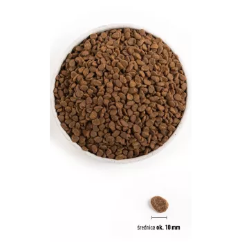 ORIJEN Six Fish Cat - Comida seca para gatos - 5,4kg