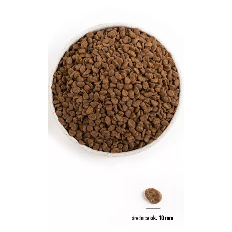 ORIJEN Six Fish Cat - Comida seca para gatos - 5,4kg