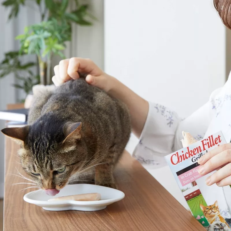 INABA Ciao Filete de pollo a la parrilla en caldo con sabor a pollo - Snacks para gatos - 25 g