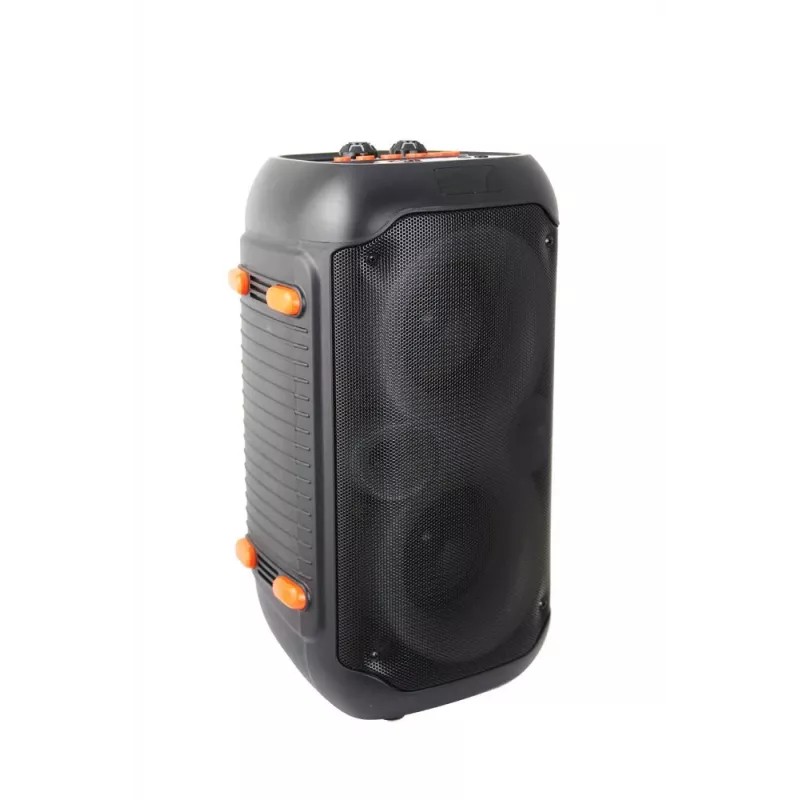 Altavoz karaoke Esperanza EP156 BT FM LED RGB negro 20W