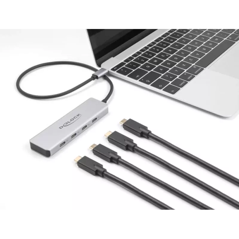 DeLOCK Hub USB Type-C 10 Gbps 4 puertos Aluminio Gris