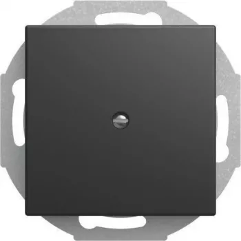 BUSCH JAEGER BJ 2527-915 placa central salida de cables 1 elemento con alivio de tracción (2CKA001710A4256)