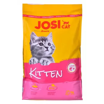 Pienso seco para gatitos JosiCat Kitten 10 kg – Alimento completo para gatitos en crecimiento
