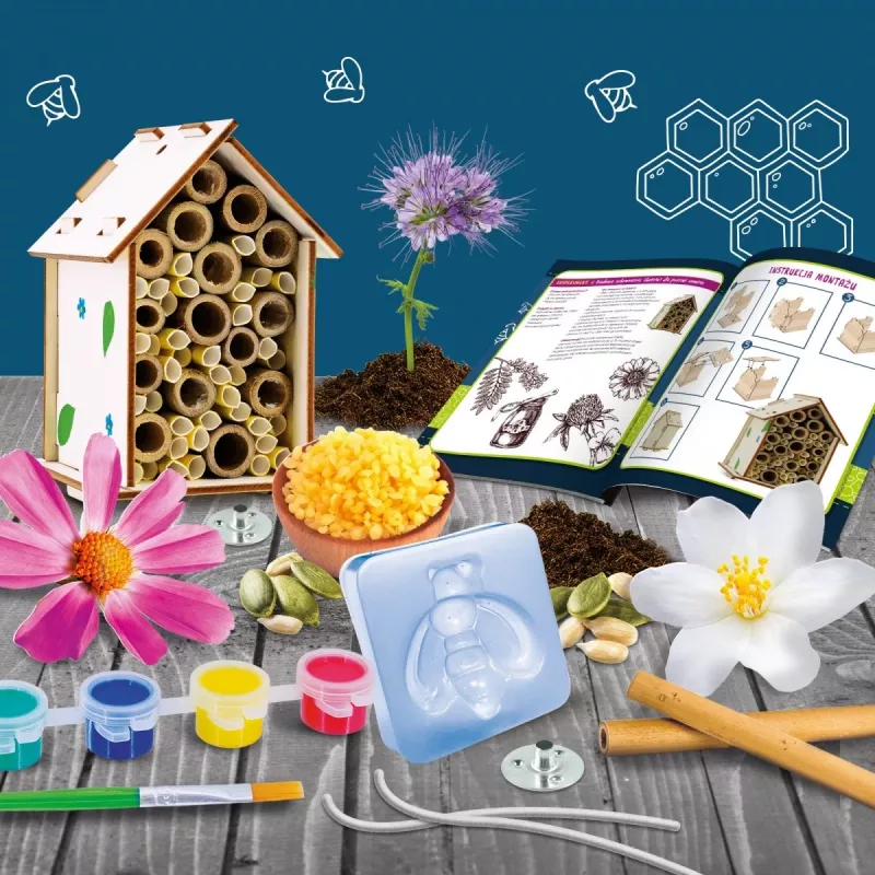 Set I'M A Genius - laboratorio de abejas