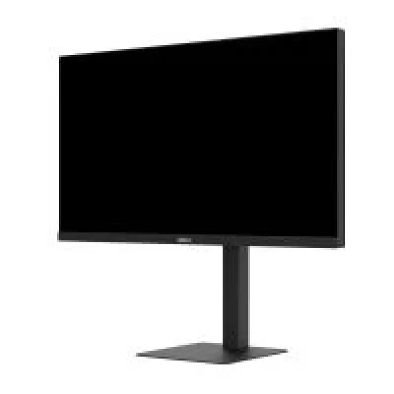 Dahua Technology Monitor de ordenador LM25-E241A 62,2 cm (24,5 pulgadas) Full HD 1920×1080 IPS LCD VESA, altura ajustable, negro