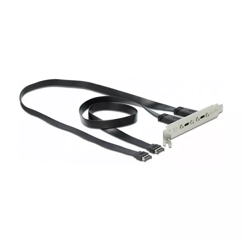 Chapa de ranura DeLOCK 89935 con 2 x conectores USB Type-C