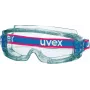 Gafas de seguridad Uvex 9301714 Gris