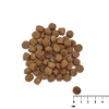 VETEXPERT Raw Paleo Healthy Grain Puppy Salmon & Barley pienso seco para cachorros, 10 kg