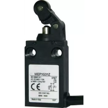 Panasonic interruptor de final de carrera 24 V 5 A palanca de rodillo MEP1G31Z IP67 1 ud. (MEP1G31Z)