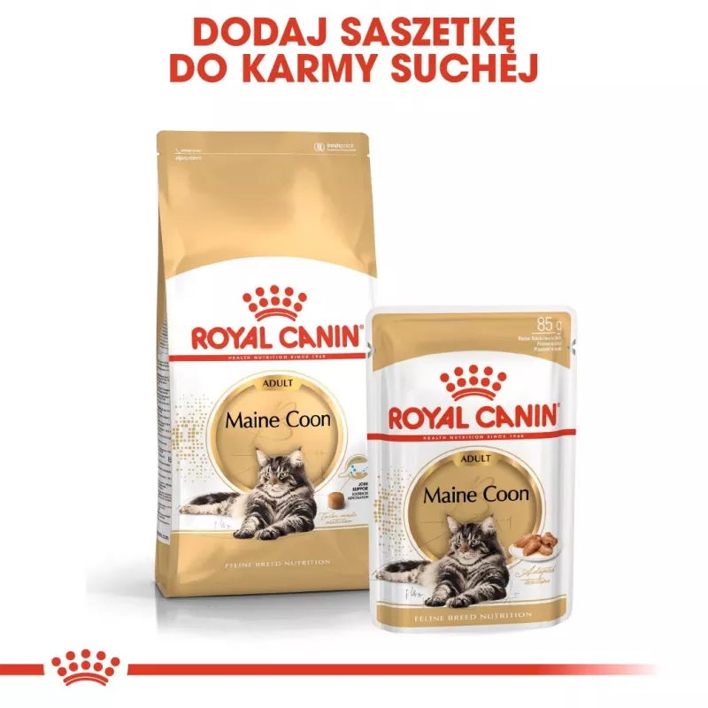 Royal Canin FBN Maine Coon Adult pienso seco para gatos, 10 kg