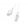 Lanberg PCU5-20CC-0200-W Cable de conexión Cat.5e U/UTP, 2 m, Blanco, paquete de 10