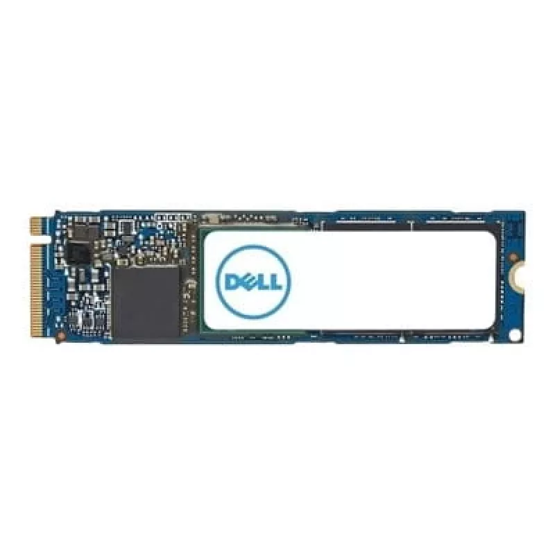 DELL AC037409 SSD interna 1 TB M.2 PCI Express 4.0 NVMe