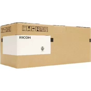 Ricoh 342016 Cartucho de tinta original negro 1 ud. (342016)