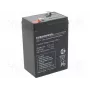 Batería de plomo-ácido europower EP4.5-6 6V 4,5Ah