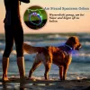 Collar LED KABB azul para perros y gatos – recargable, collar de seguridad ajustable con iluminación