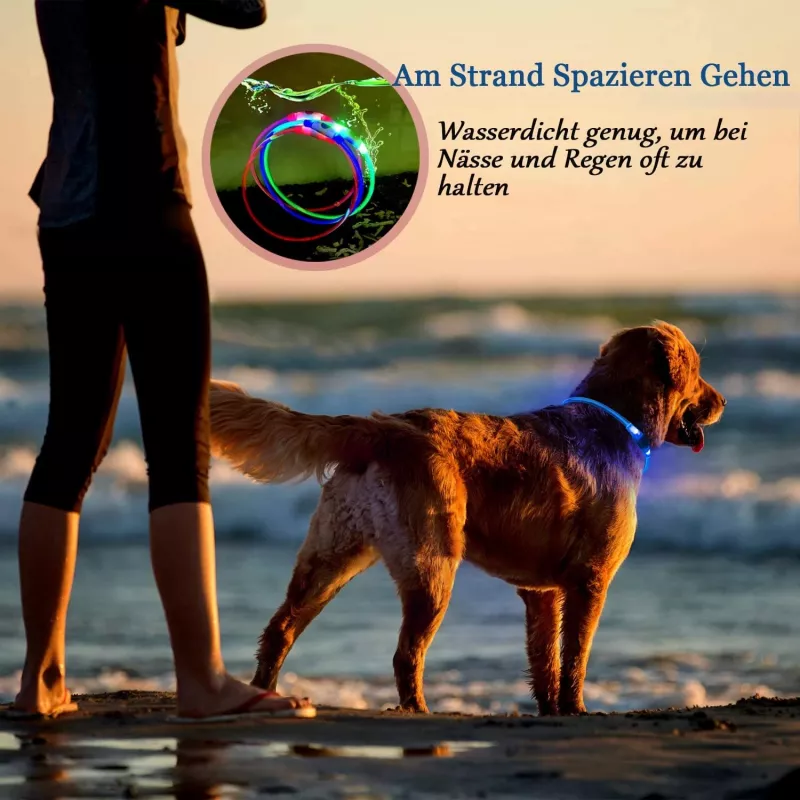 Collar LED KABB azul para perros y gatos – recargable, collar de seguridad ajustable con iluminación