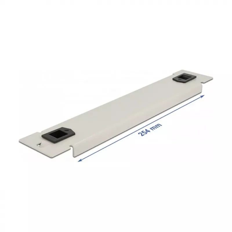 Tapa ciega DeLOCK armario de red de 10