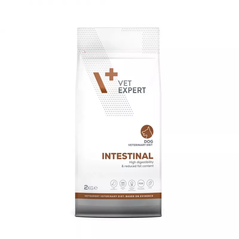 VET EXPERT Veterinary Diet Intestinal Dog - pienso para perros - 2 kg